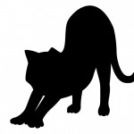 小林篤史の猫背矯正では何を行なっているのか？